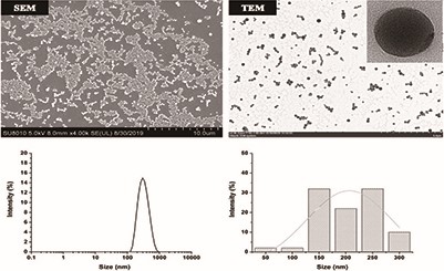 微观表征、粒径大小及分布图